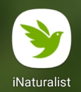 iNaturalist app logo